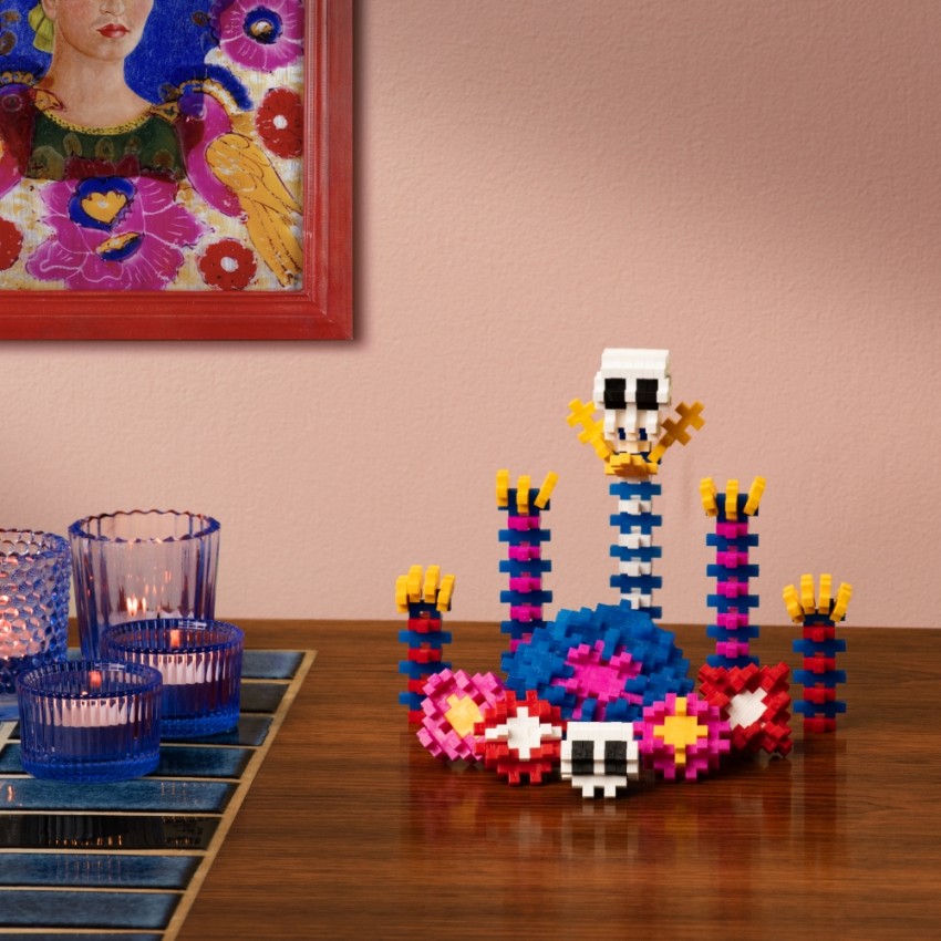 Plus Plus konstruktorius, Įkvėpimas – Frida Kahlo