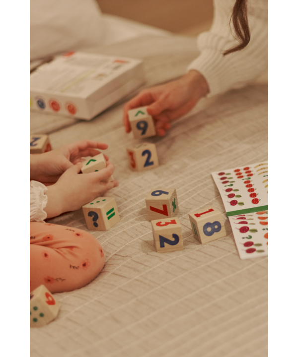 Igroteco žaidimas, Matematinės kaladėlės, 2+