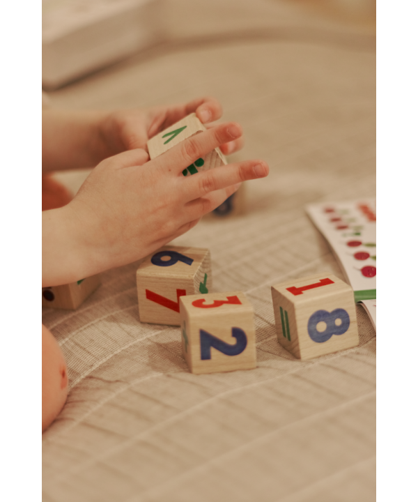 Igroteco žaidimas, Matematinės kaladėlės, 2+