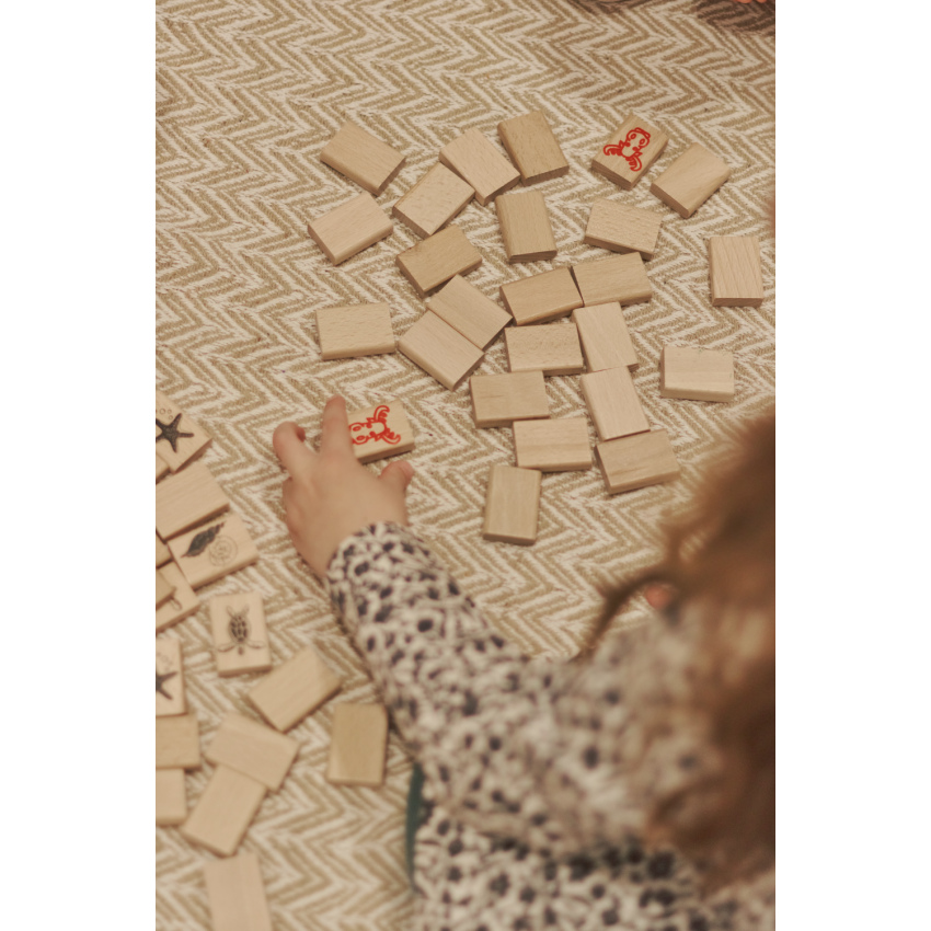 Igroteco žaidimas, Mahjong, 49 det.