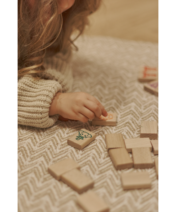 Igroteco žaidimas, Mahjong, 49 det.