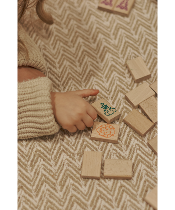 Igroteco žaidimas, Mahjong, 49 det.