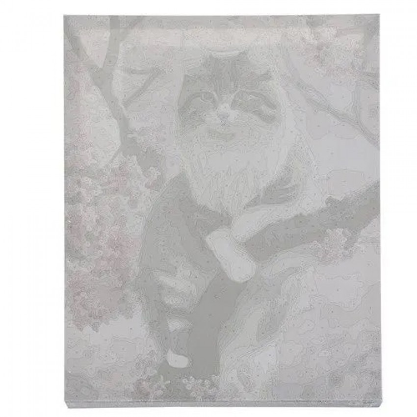 Tapyba pagal skaičius, KATĖ 40x50 cm