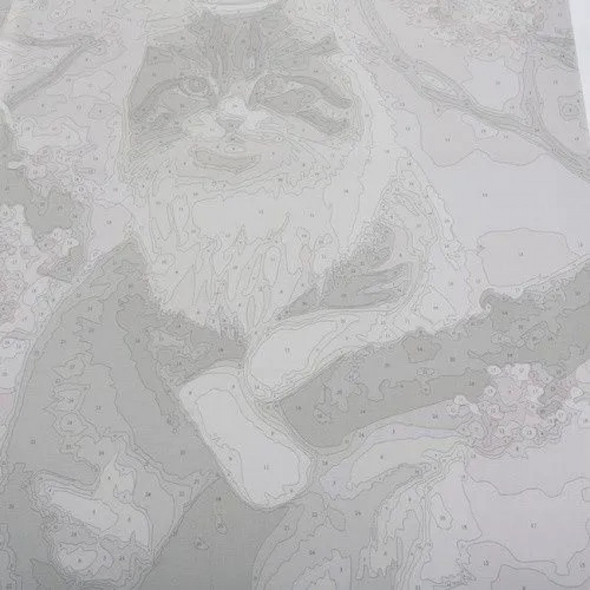 Tapyba pagal skaičius, KATĖ 40x50 cm