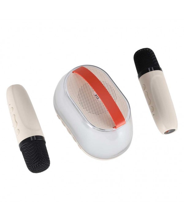 Karaoke rinkinys: Bluetooth kolonėlė su RGB LED apšvietimu ir 2 mikrofonai