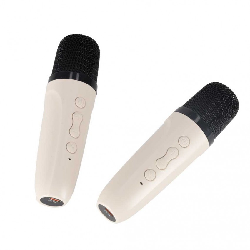 Karaoke rinkinys: Bluetooth kolonėlė su RGB LED apšvietimu ir 2 mikrofonai