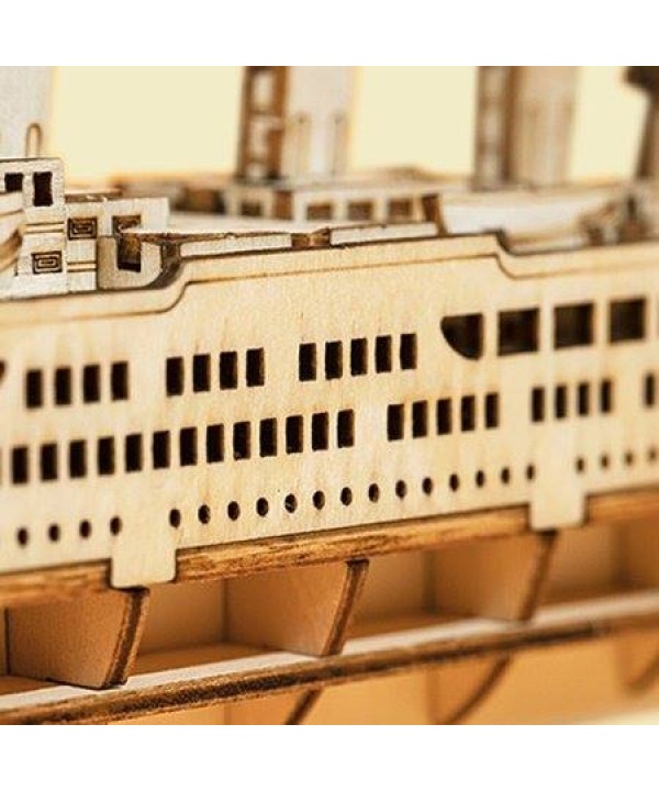 3D medinis konstruktorius Kruizinis laivas