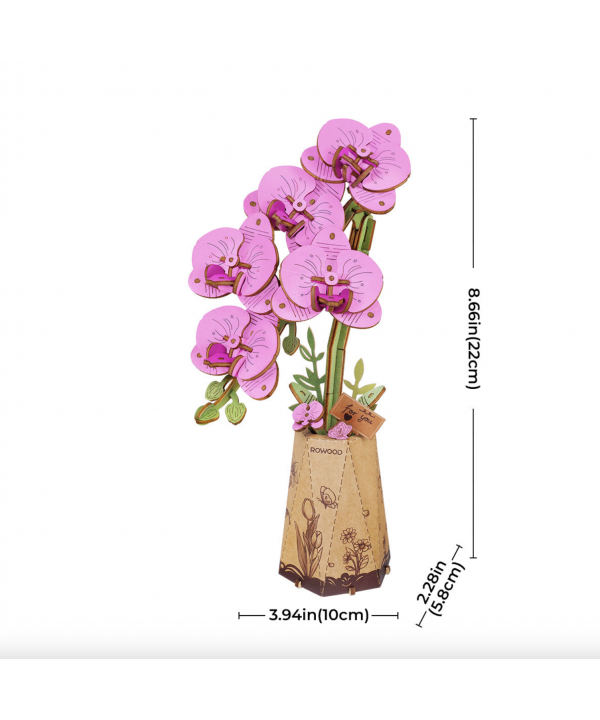 3D Medinis konstruktorius Orchidėja