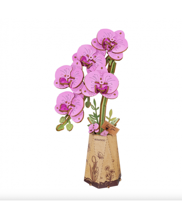 3D Medinis konstruktorius Orchidėja