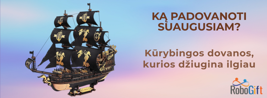 Ką padovanoti suaugusiam: kūrybingos dovanos