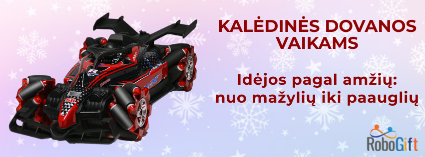 Kalėdinės dovanos vaikams: idėjos pagal amžių